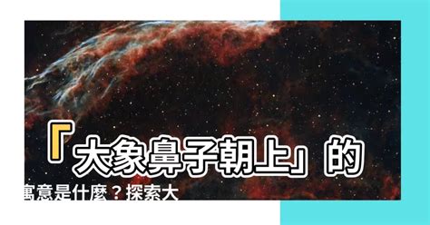 風水大象|【大象風水】大象風水奧秘揭曉！李理謙老師親授擺放指。